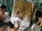 artist sculpture