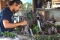 Papier mache artist